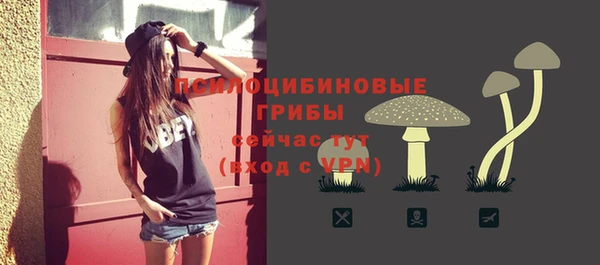 гашиш Надым