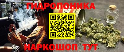соль ск Гусев