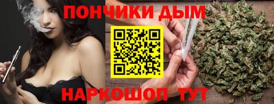 индика Гусиноозёрск