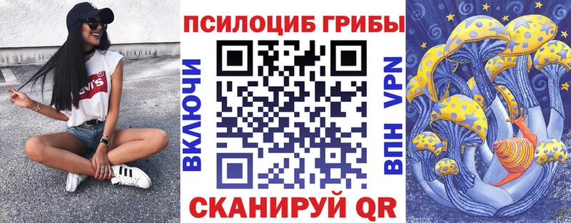 хочу наркоту Партизанск Галлюциногенные грибы Cubensis