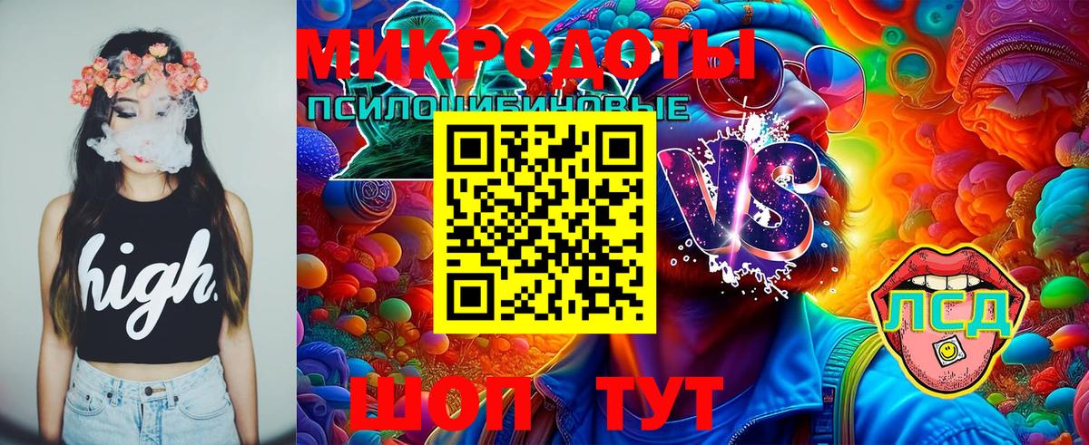 Псилоцибиновые грибы Psilocybine cubensis  цена   Вход с VPN  Партизанск  Псилоцибиновые грибы Psilocybine cubensis 