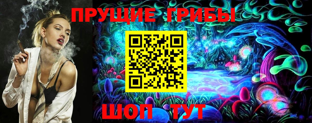 Галлюциногенные грибы Psilocybine cubensis Партизанск