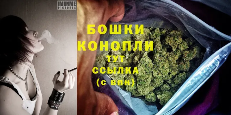 Бошки Шишки SATIVA & INDICA  как найти закладки  Партизанск 